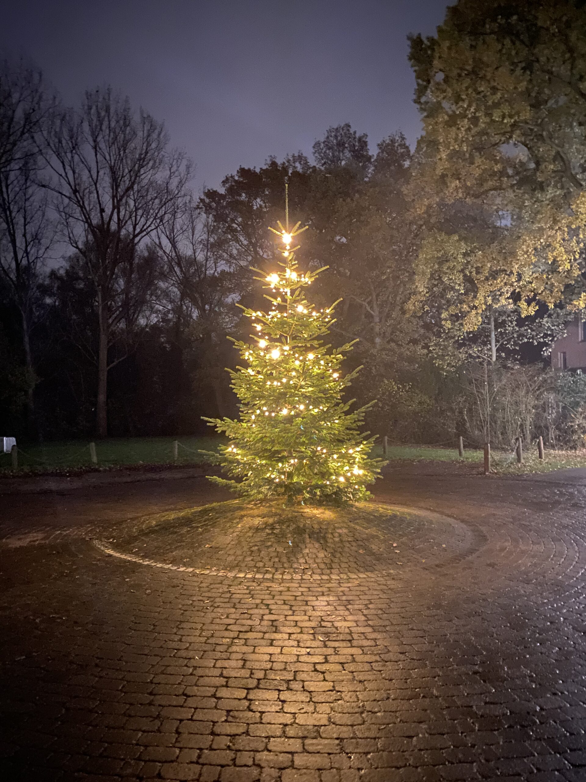 der Weihnachtsbäume Bürger für Kaltenweide e.V.